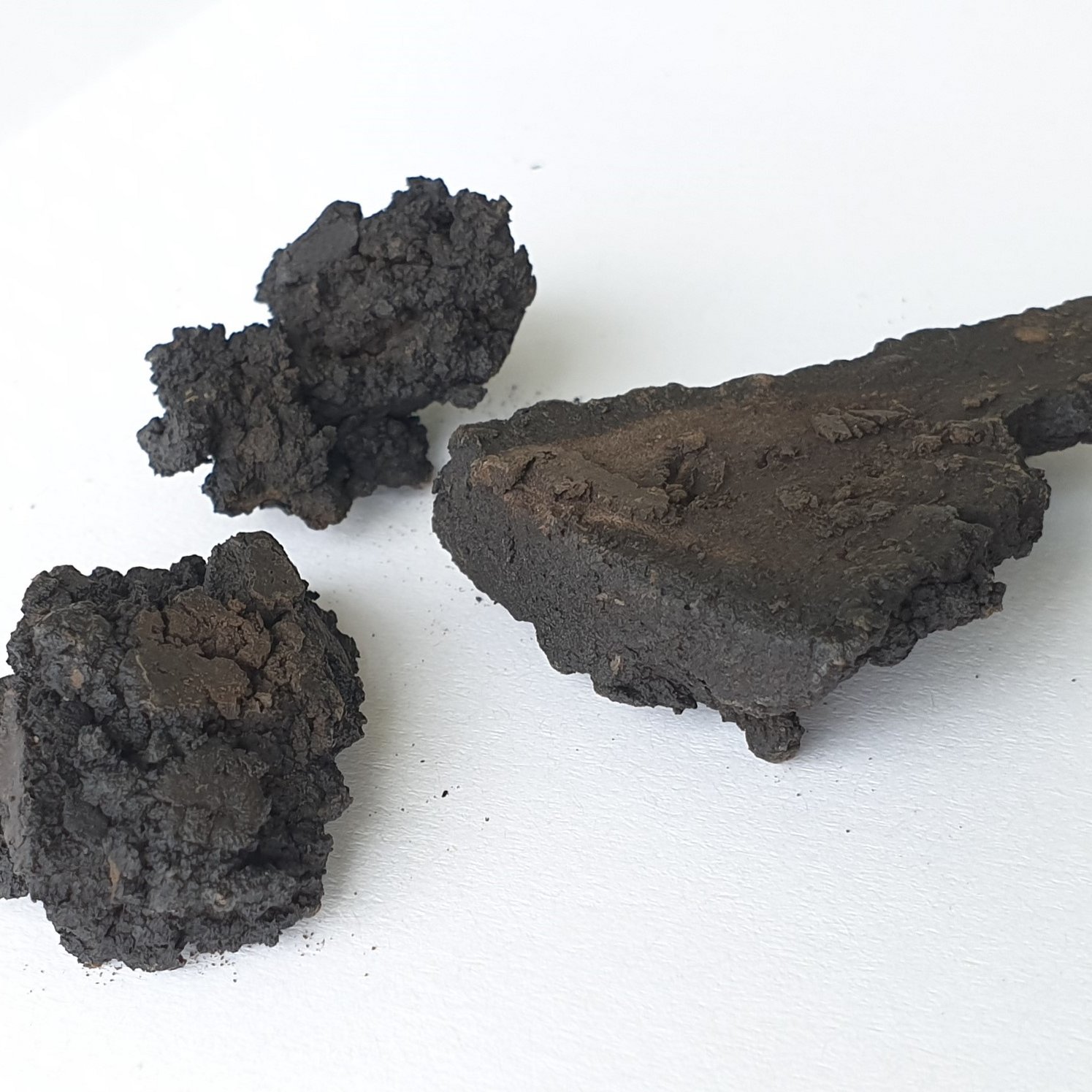 Kohle aus Biomasse unter Verwendung hydrothermaler Karbonisierung (HTC)