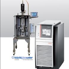 Druckreaktor mit Temperaturregelung durch Thermostaten
