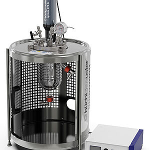 Pressure reactor uniclave