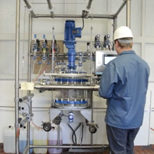 Standard control system
